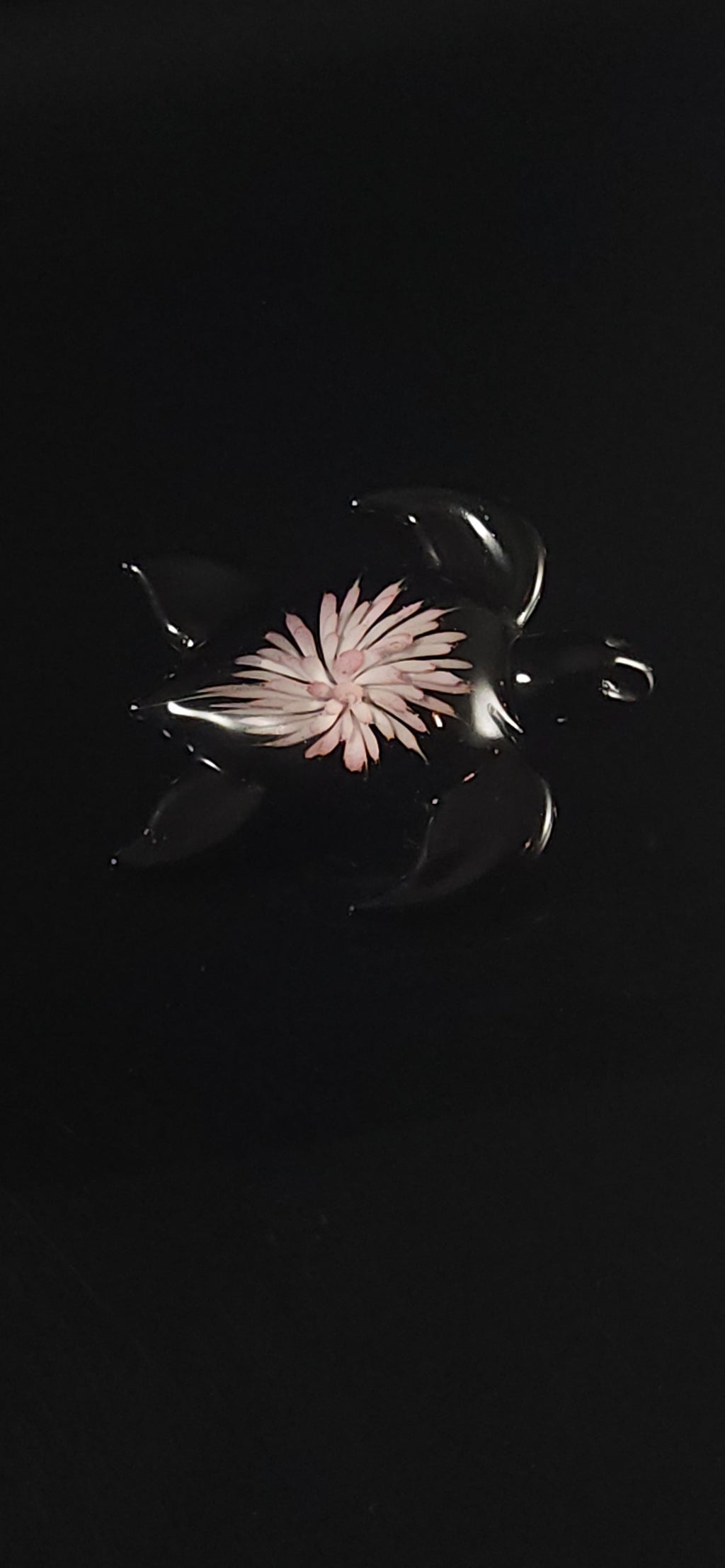 24k Gold fumed Sea Turtle implosion pendant