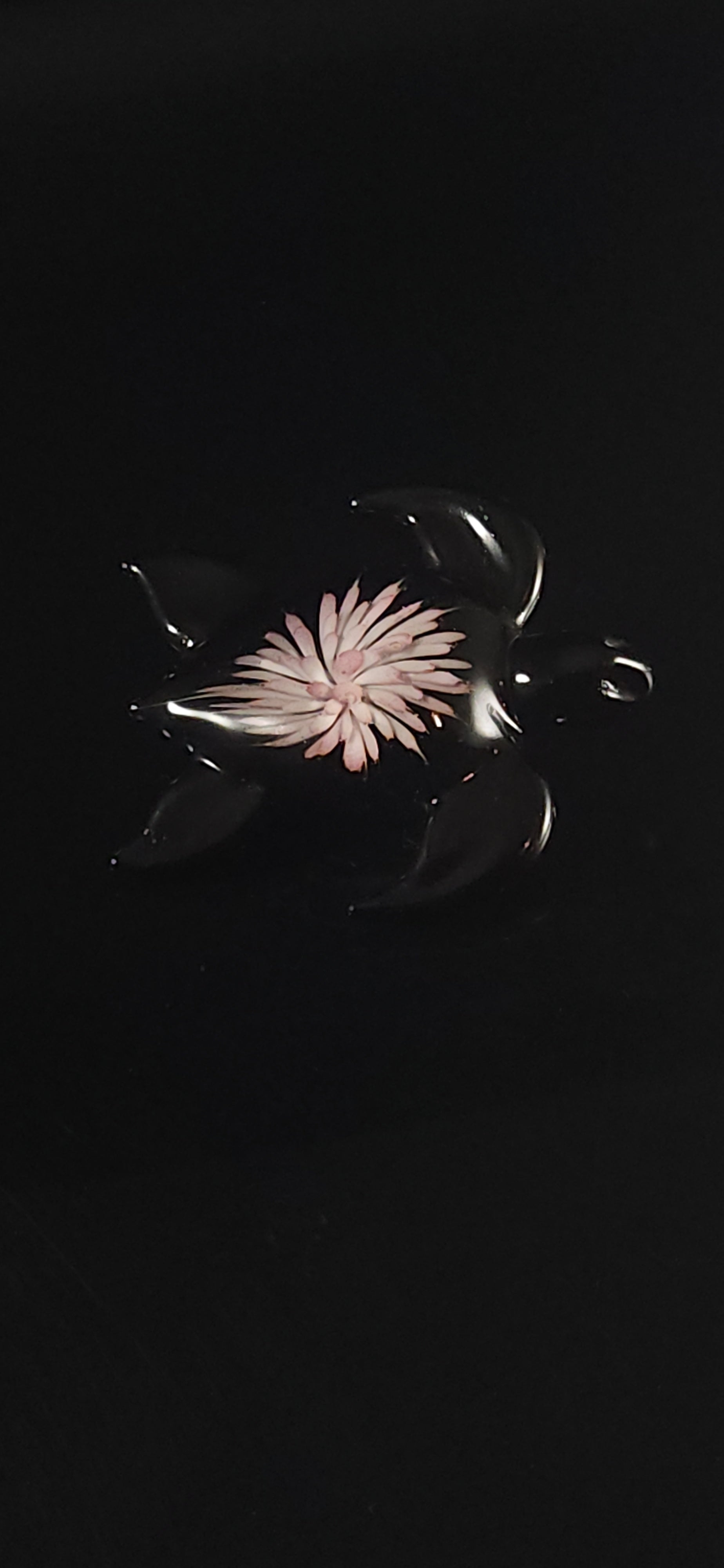 24k Gold fumed Sea Turtle implosion pendant