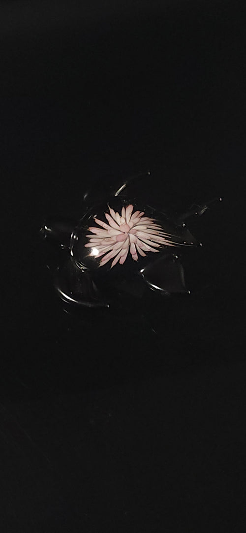 24k Gold fumed Sea Turtle implosion pendant