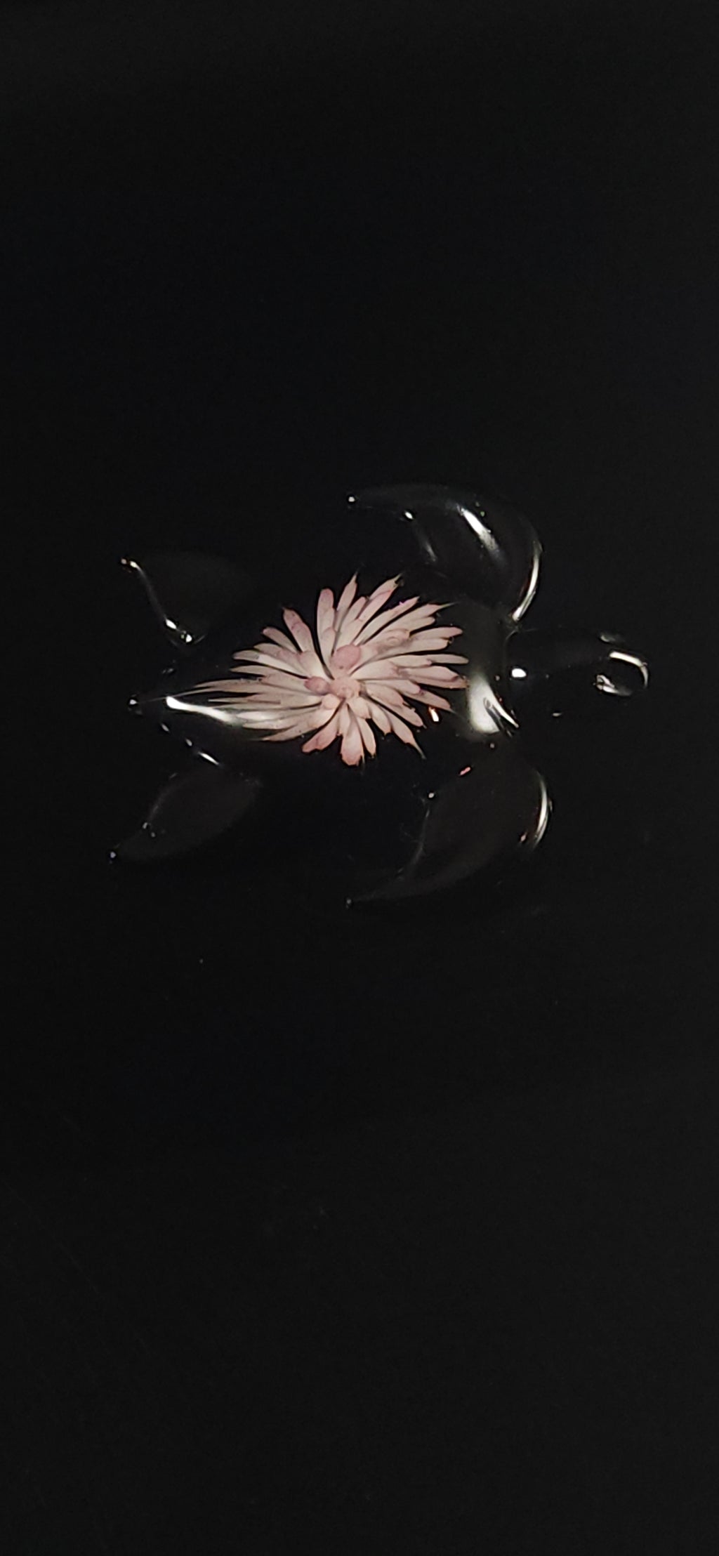 24k Gold fumed Sea Turtle implosion pendant